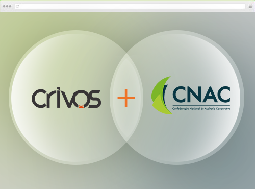 Criação de sites para Consultoria - CNAC
